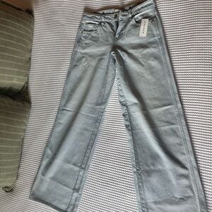 NWT PacSun Casey Low rise baggy jeans